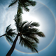 Illustration for article titled 44 Of This Summer's Best Photos